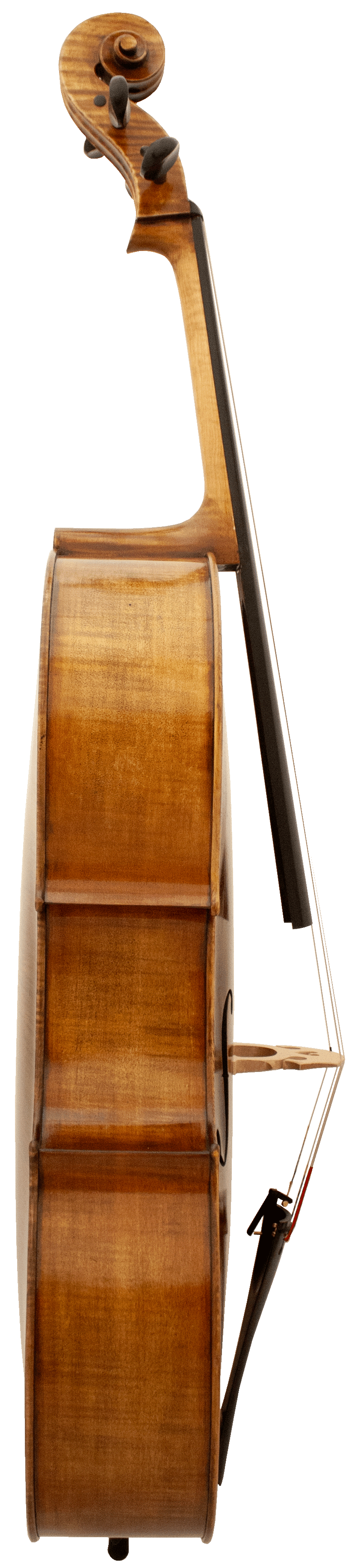 Cuerdas Panetto Haddock 2100