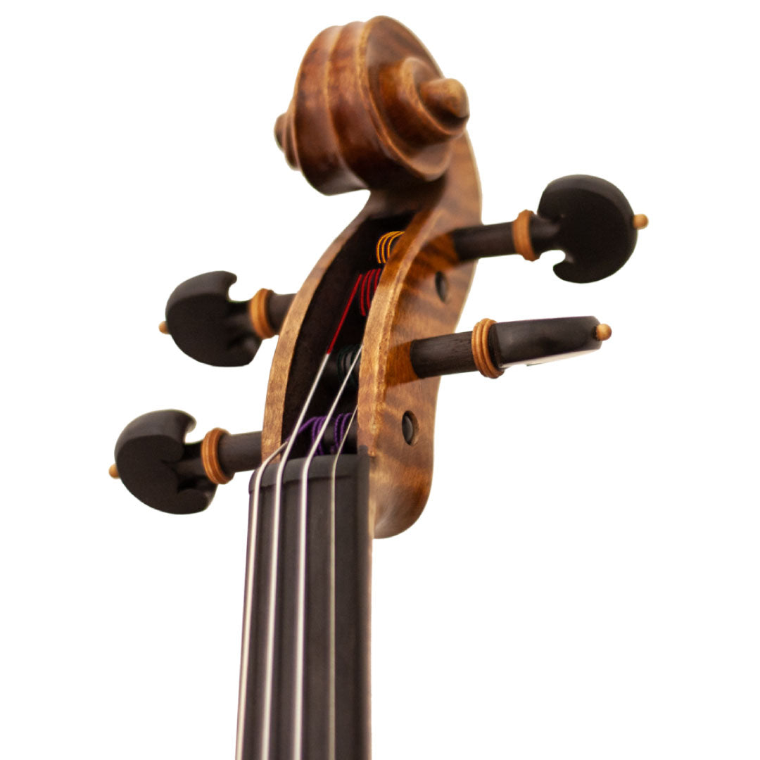 Master Lucienne Viola Pegbox