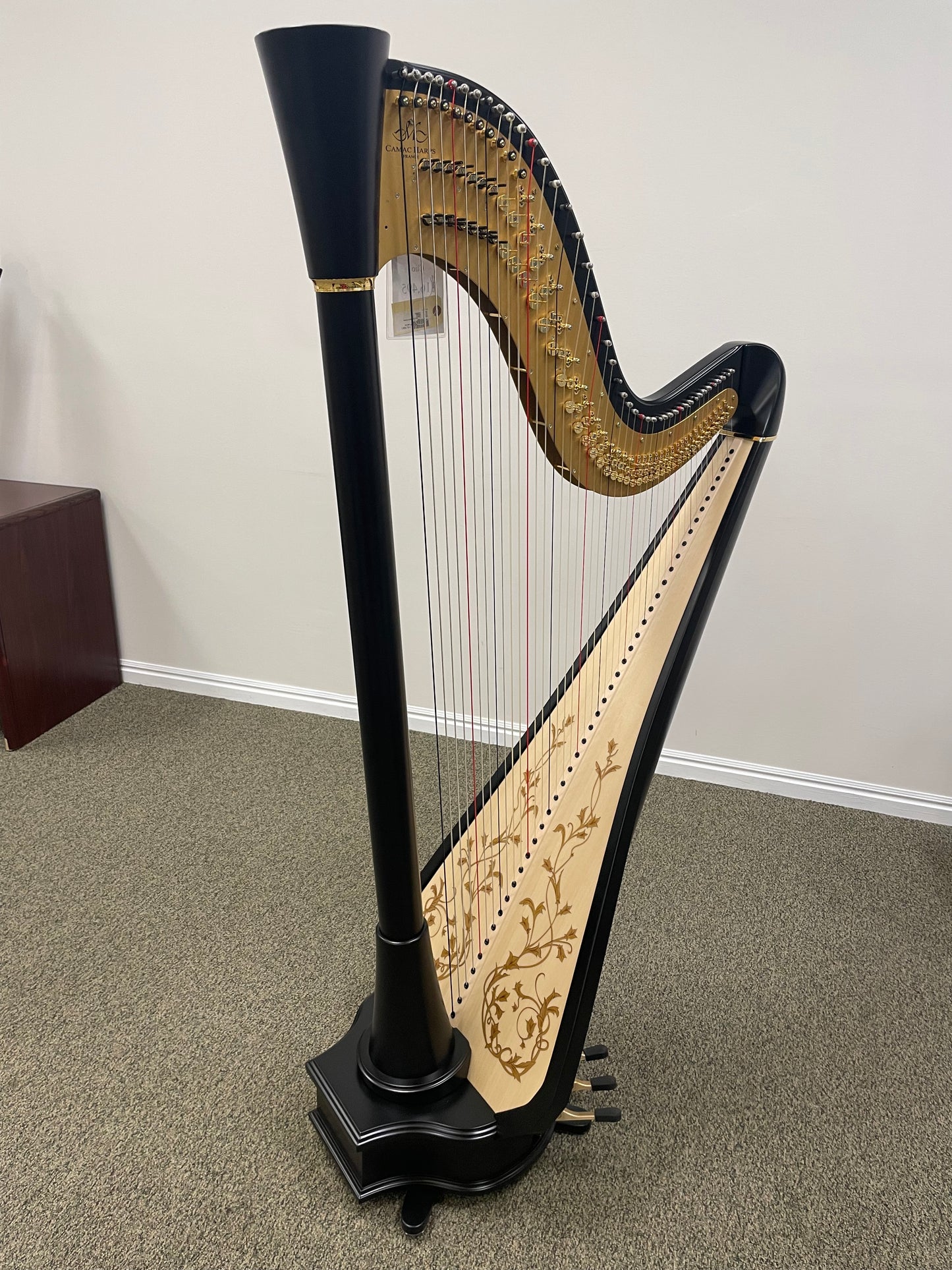 Camac Clio Extended, Ebony