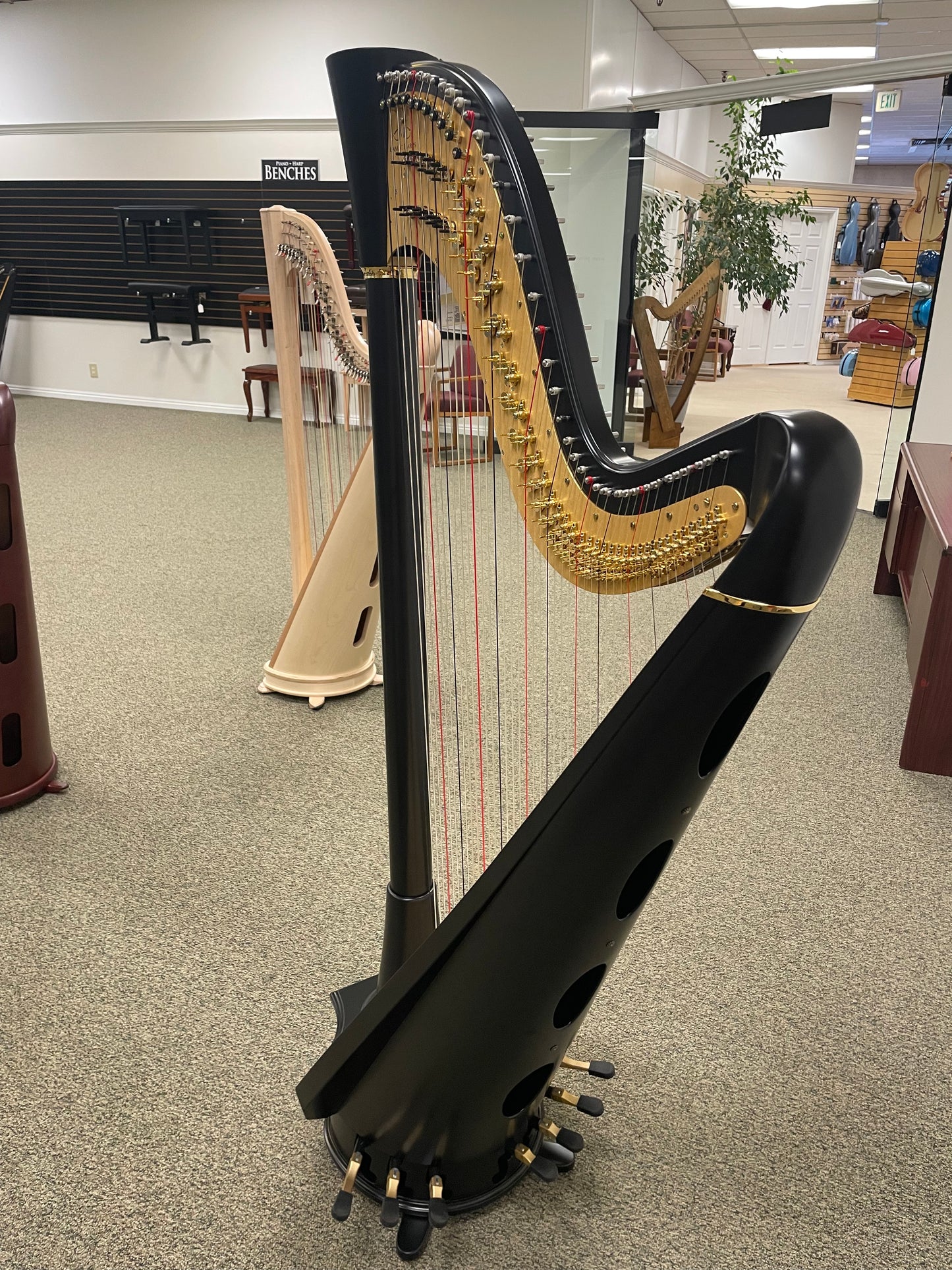 Camac Clio Extended, Ebony