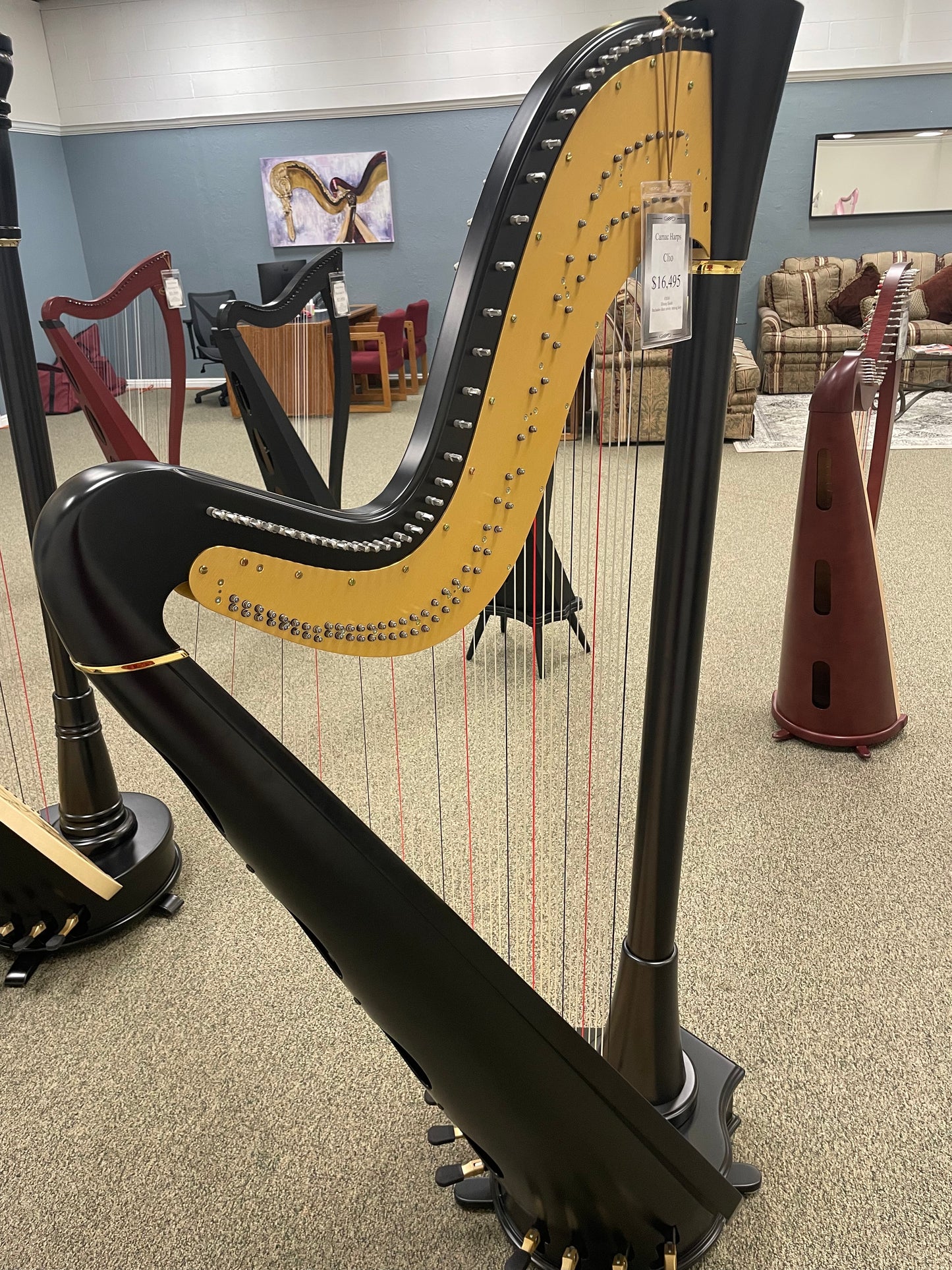 Camac Clio Extended, Ebony