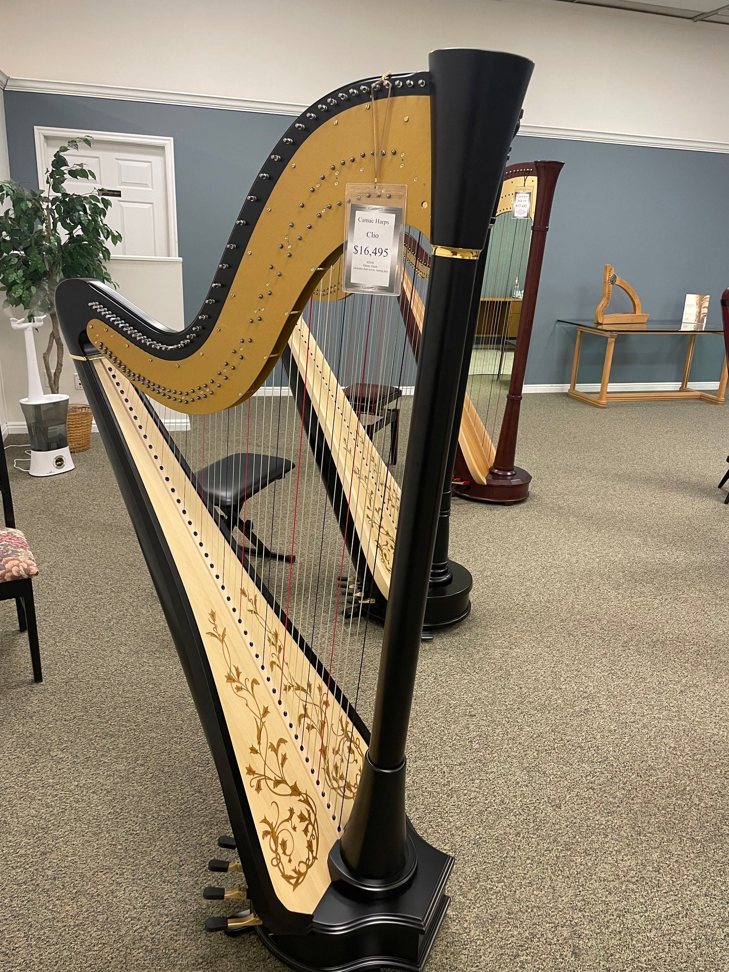 Camac Clio Extended, Ebony