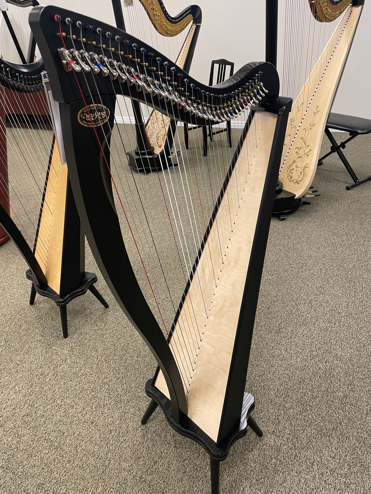 Dusty Strings Ravenna 34, Ebony
