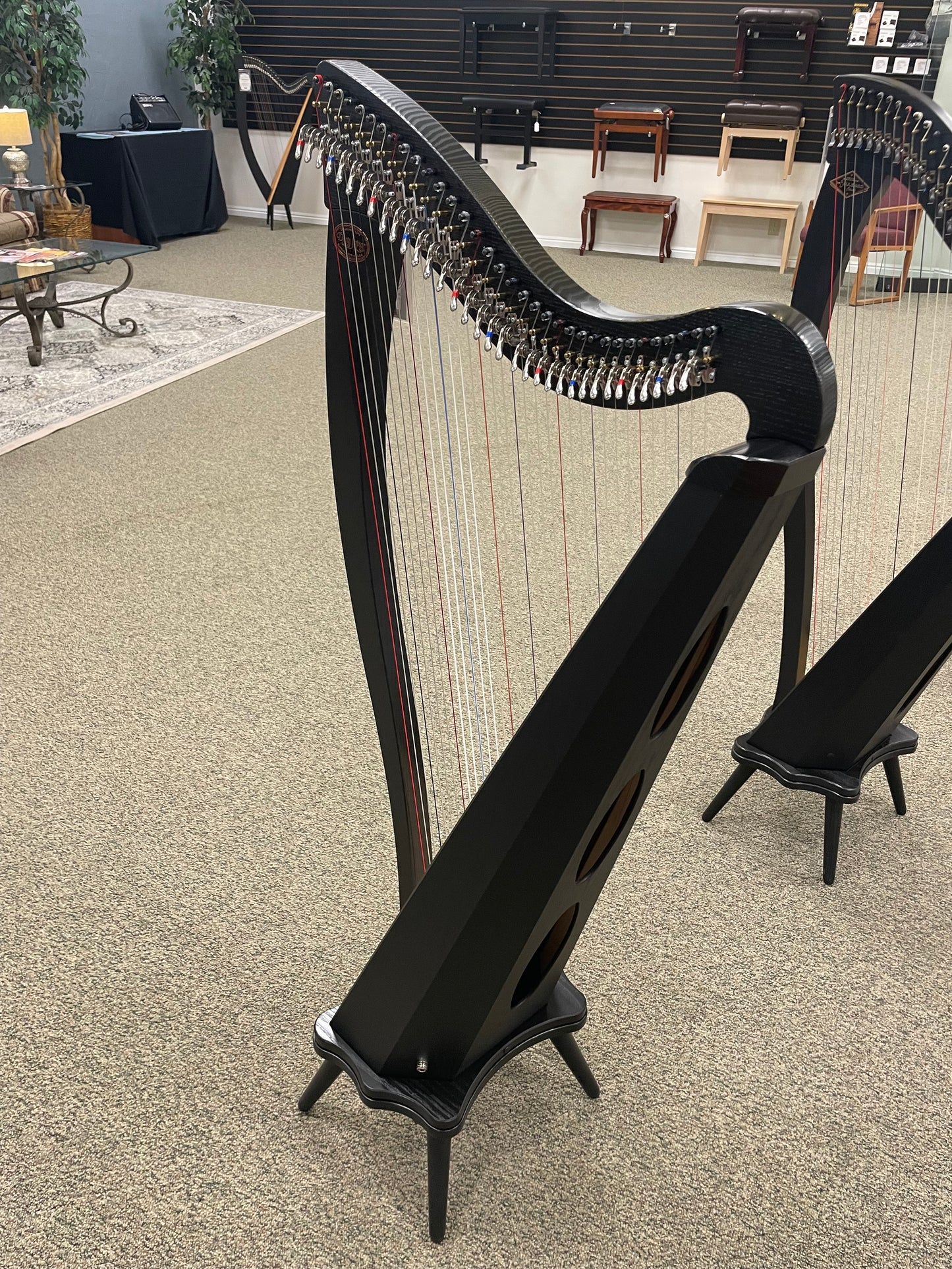 Dusty Strings Ravenna 34, Ebony