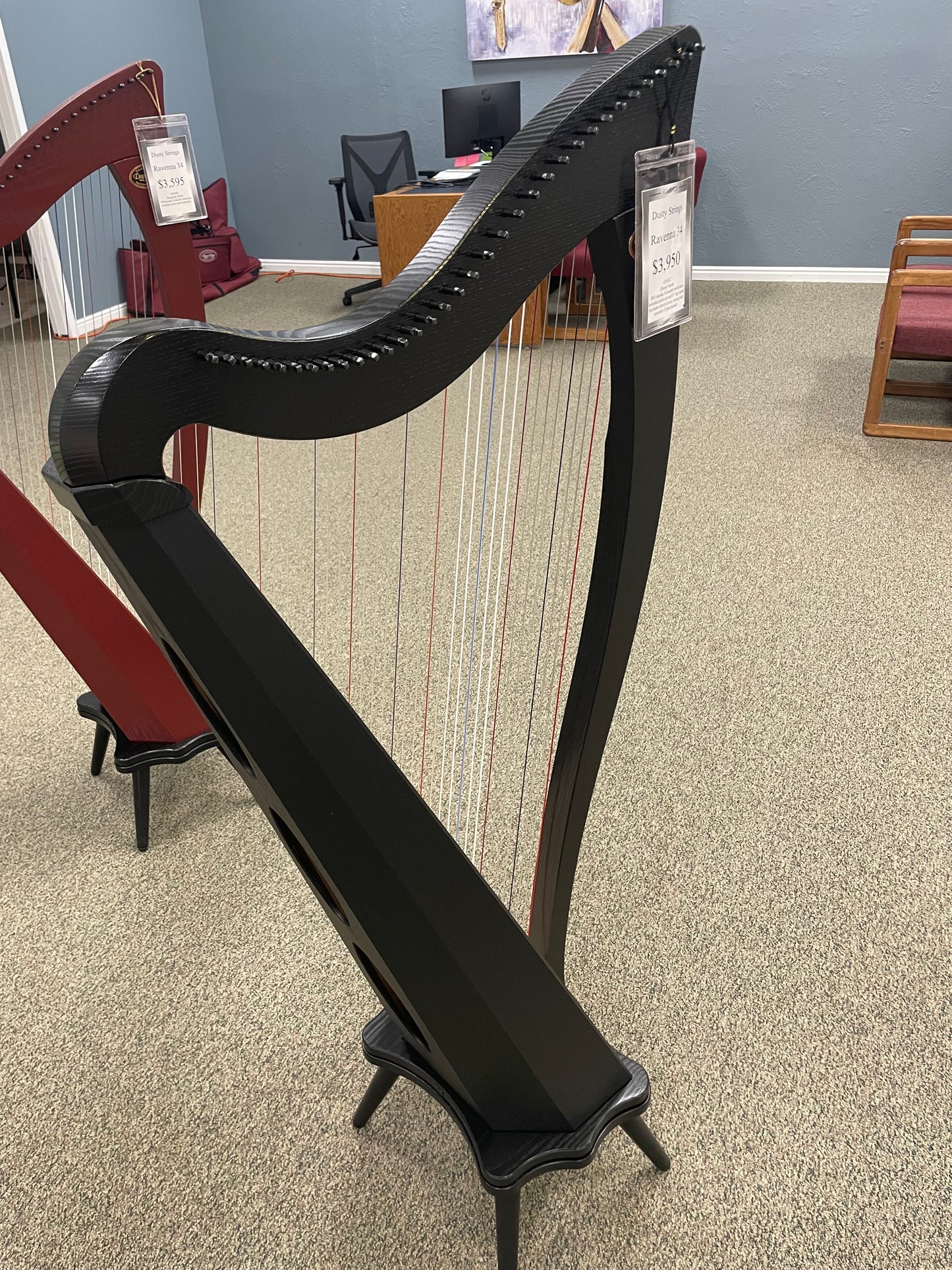 Dusty Strings Ravenna 34, Ebony
