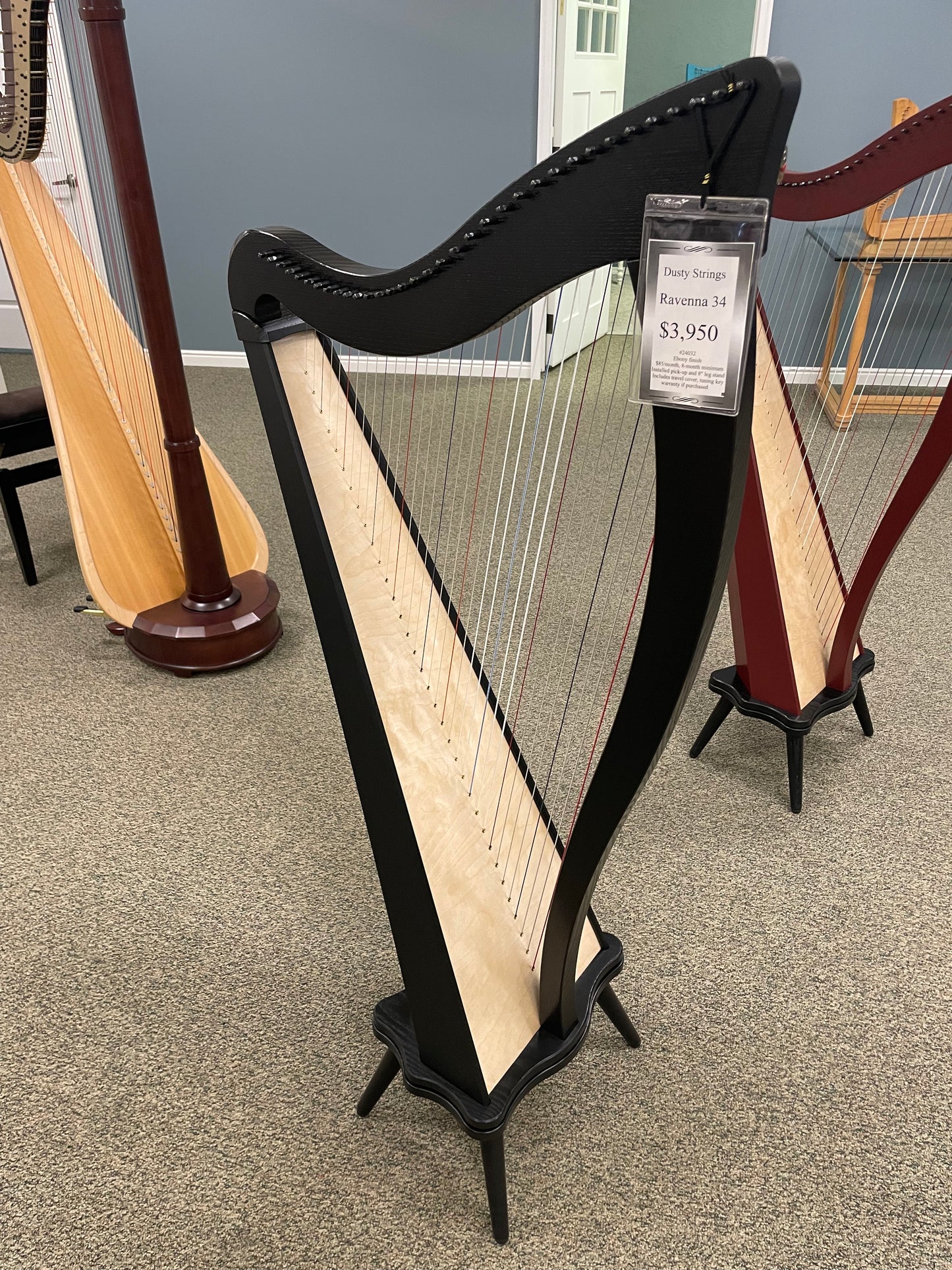 Dusty Strings Ravenna 34, Ebony