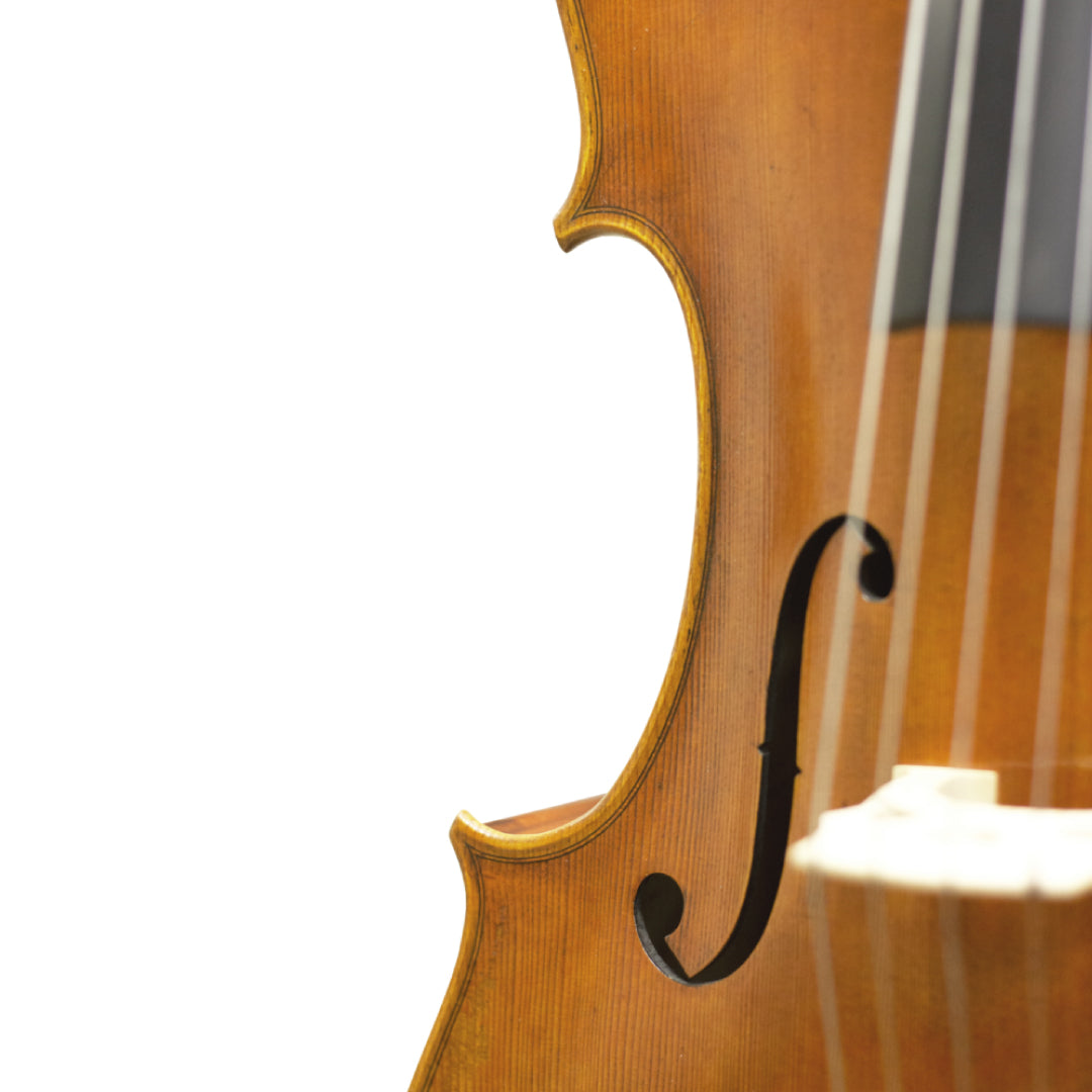 Master Lucienne Cello F-holes and Bridge