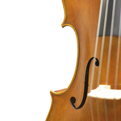 Master Lucienne Cello F-holes and Bridge