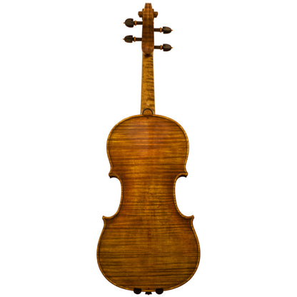 Master Lucienne Viola Back