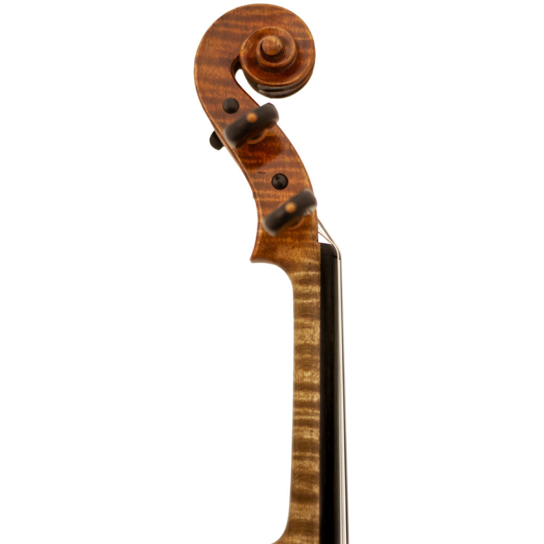 Master Lucienne Viola Scroll