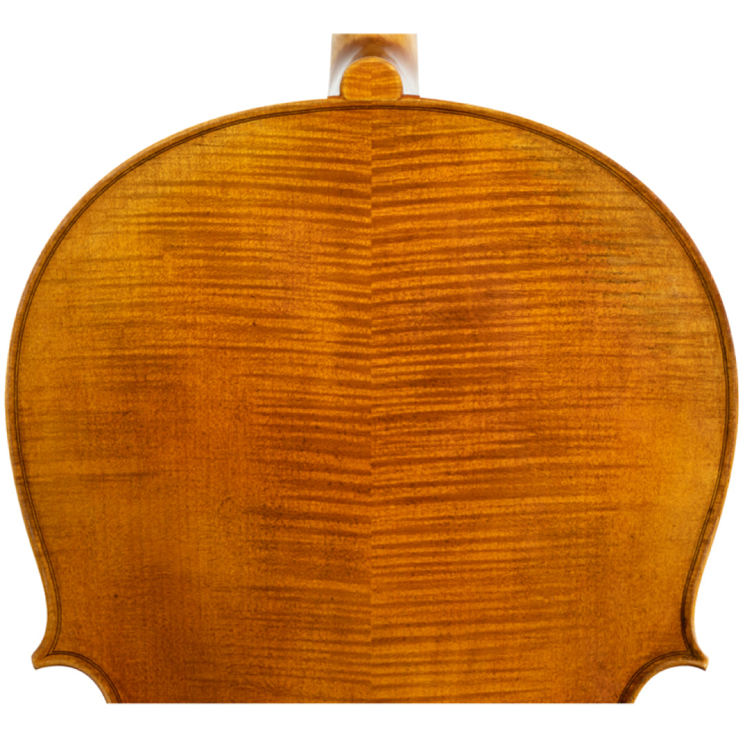 Master Xu Cello Grain on Back
