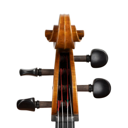 Master Xu Cello Pegbox