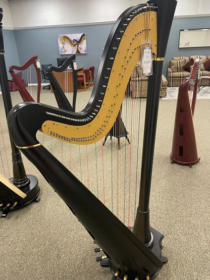 Camac Clio Extended, Ebony