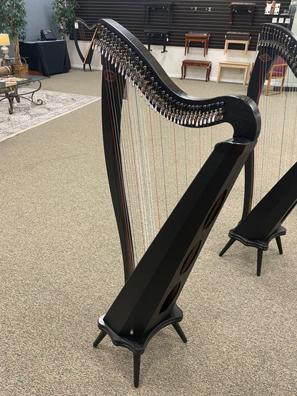 Dusty Strings Ravenna 34, Ebony